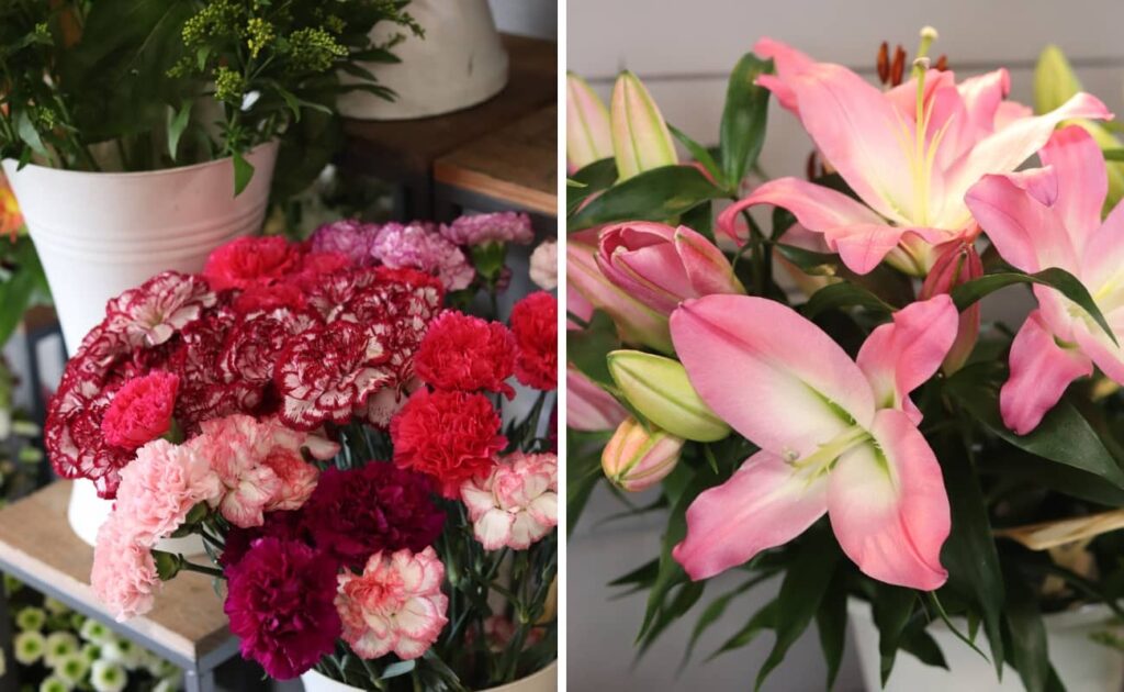 fleuriste-baccarat-jolies-fleurs