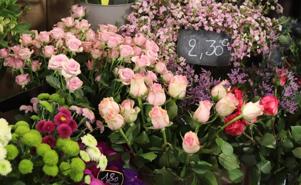 fleurs-roses-baccarat